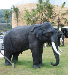 Elefant