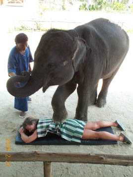 Massage av en babyelefant