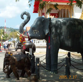Elefant