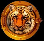 Annica Tiger
