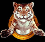 En Tiger