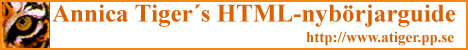AnnicaTigers HTML nybörjarguide