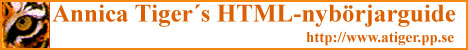 HTML